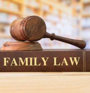 Family Law - Detective Florida